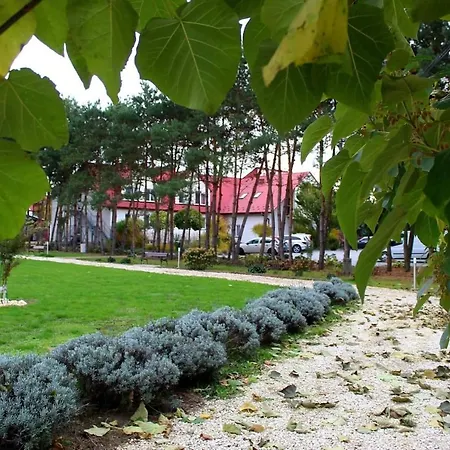 Ξενοδοχείο Hotel Zabawa 3*