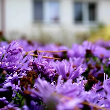 Ξενοδοχείο Hotel Zabawa Zabawa (Tarnow)