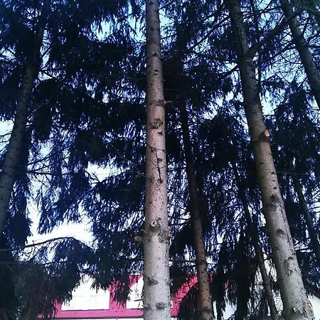 Hotel Zabawa 3* Zabawa (Tarnow)