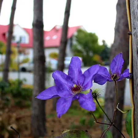 Hotel Zabawa 호텔